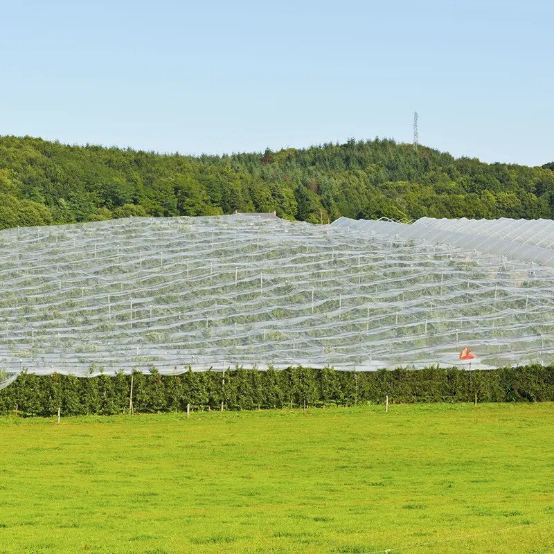 How Can Shade Nettings Enhance Agricultural and Outdoor Efficiency?