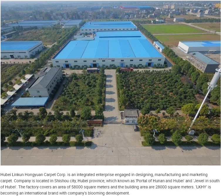 DC161 Movable Modular Soundproof Commercial Carpet Office Carpet Home Hotel Carpet Tiles PP Surface Thick Non-Woven Backing Hallway Carpet