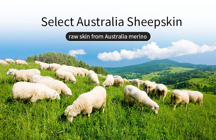 Factory Price Real Sheepskin Rug