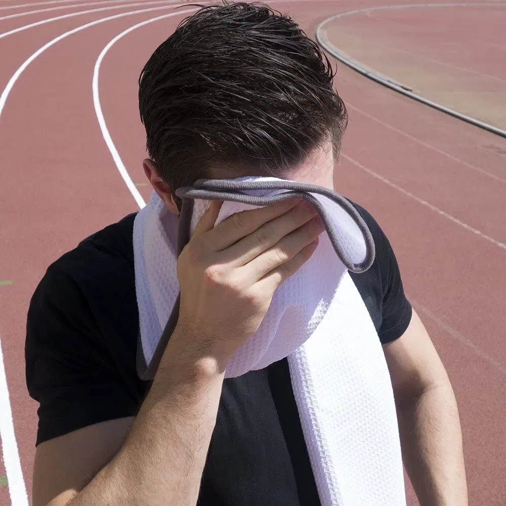 Fitness Gym Towels (2 Pack) for Workout, Sports and Exercise - Soft, Lightweight, Quick-Drying, Odor-Free - by Desired Body