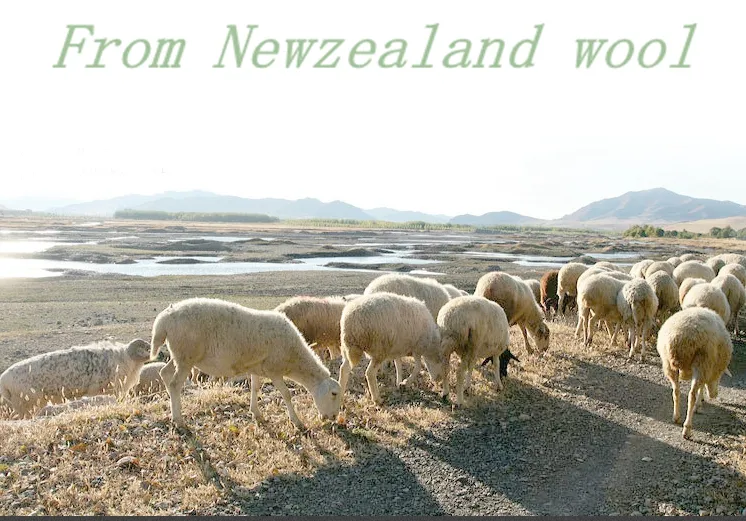 Persia Rugs Home Rug Floor Carpet Polyester Mat