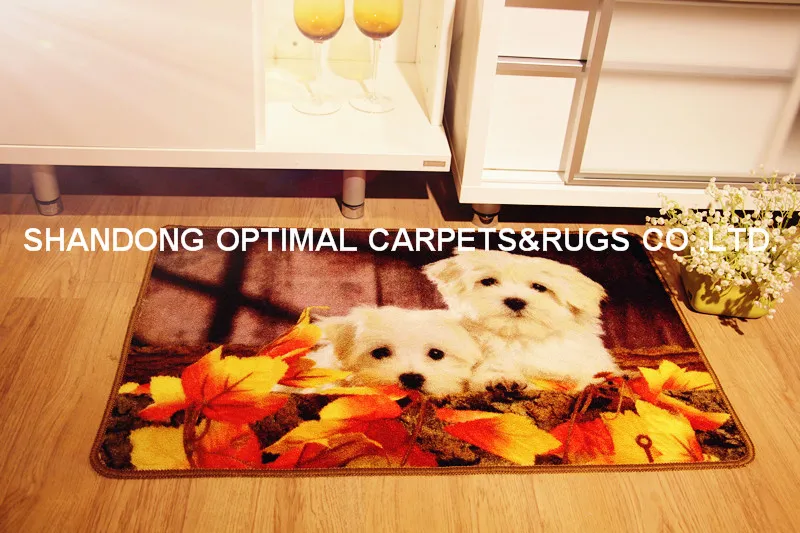 Personalized Indoor Outdoor Floor Entrance Machine Washable Door Mat 50 X 80cm