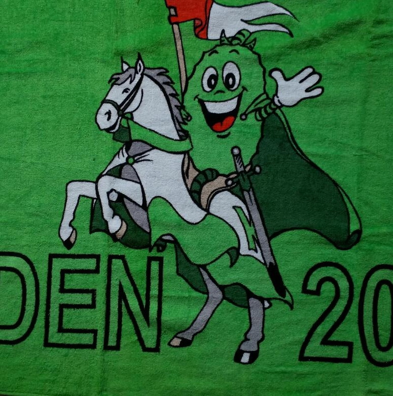 Promotion Cartoon 100% Cotton Printed Custom Beach Towel