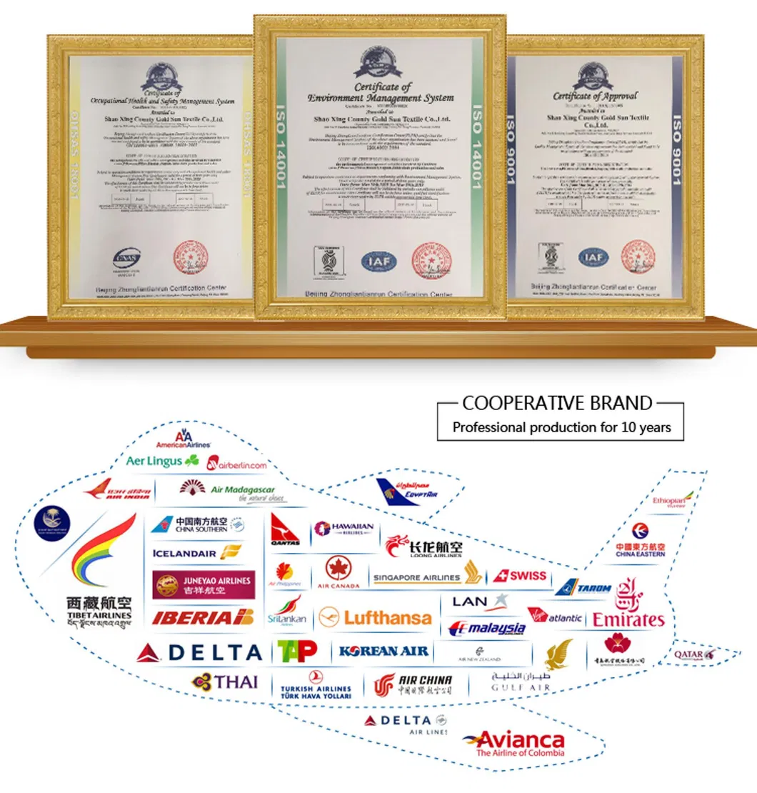 RPET 100%Cotton Embroidered Tablecloths/Napkin for Airline/Hotel