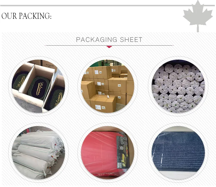 Water Absorb 100% Polyester Heavy Duty Dirt Trapping Plastic Floor Mats for Home